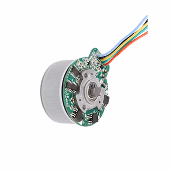 Kinmore Small 12 В 24 В массажный вибрационный двигатель Ie1 микро мини 12 В электрический эксцентриковый вибрационный двигатель постоянного тока для сексуальной игрушки фаллоимитатор